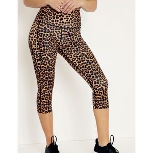 BM Claws Out HW Battle Pants